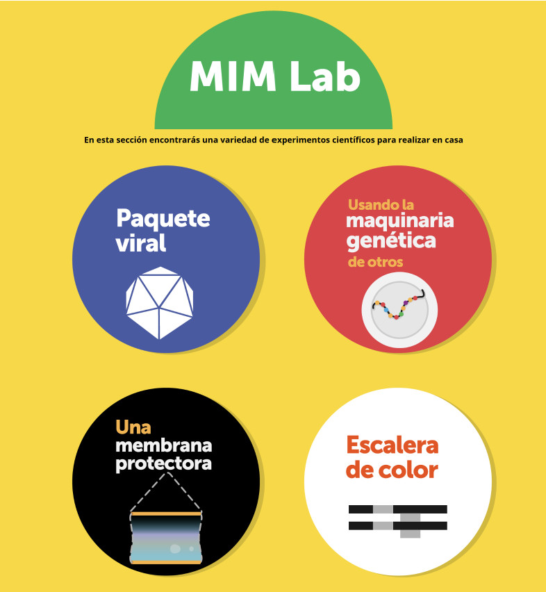 Sección MIM Lab del sitio web, con cuatro experimentos presentados en círculos de color.
